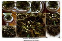 Yunnan Long Dragon 2013